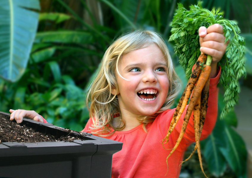 Large Raised Garden Bed with Cover 2m x 1m Raised Garden Bed Vegepod