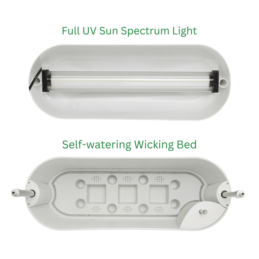 Kitchen Garden White Vegepod NZ