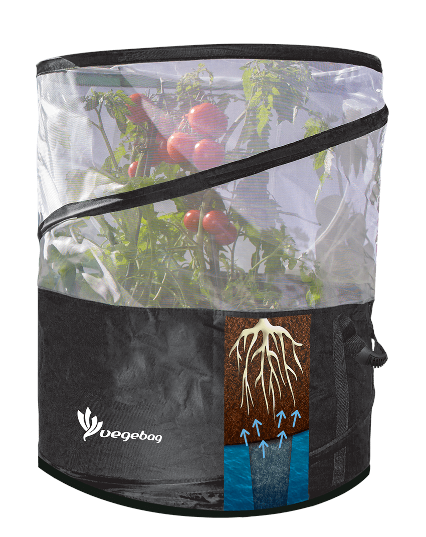 Vegebag - Relaunching soon! Vegepod NZ