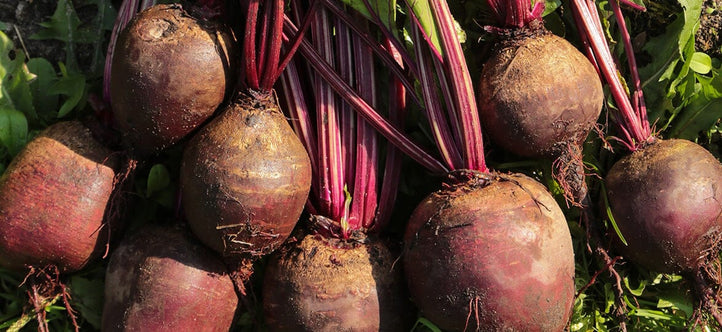Maximise Your Vegepod & Creative Ways to Use Excess Veggies