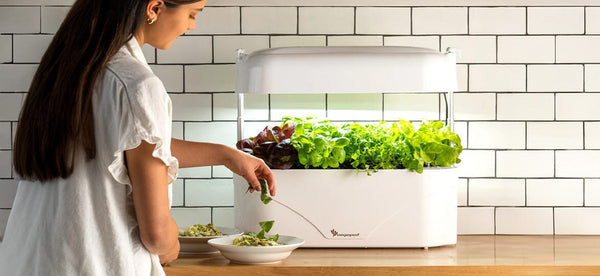 How Indoor Gardening with Vegepod Reduces Your Carbon Footprint ...