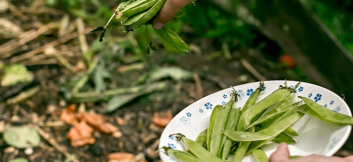 Get Growing Green: Celebrate Global Recycling Day with Vegepod!