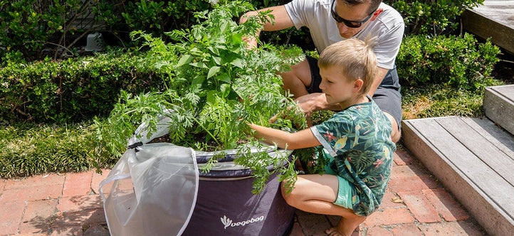 Winter Wonderland: Growing Veggies as the Weather Gets Chilly with a Vegebag