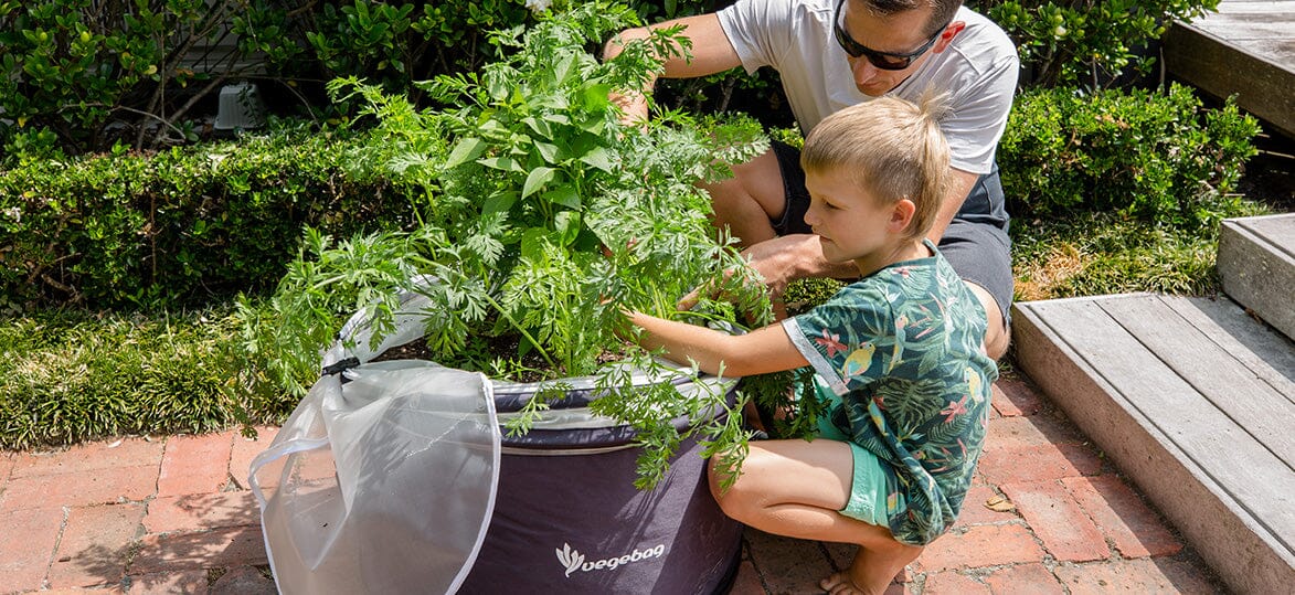 Winter Wonderland: Growing Veggies as the Weather Gets Chilly with a Vegebag