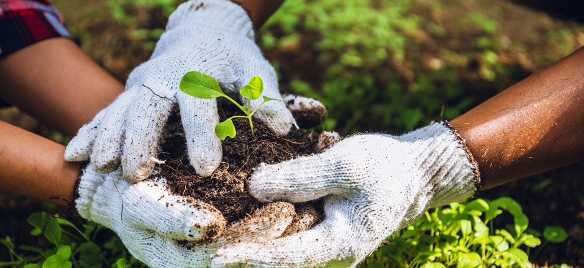 How to Win Valentine’s Day: Create a Home Garden Together