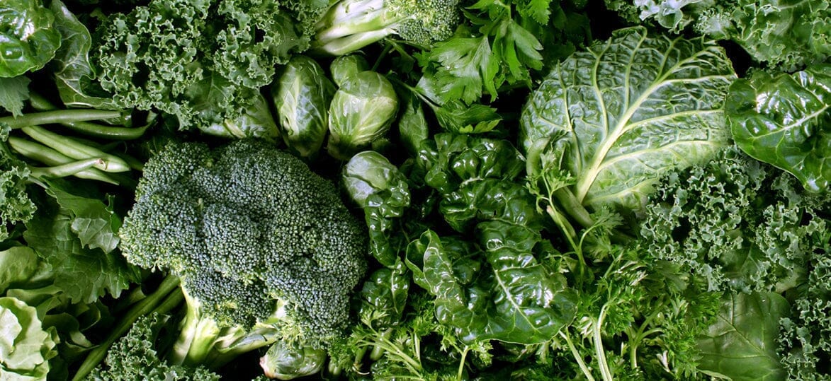 Winter Warmers: The Top Vegetables to Grow in Your Vegepod (and What to Cook with Them)