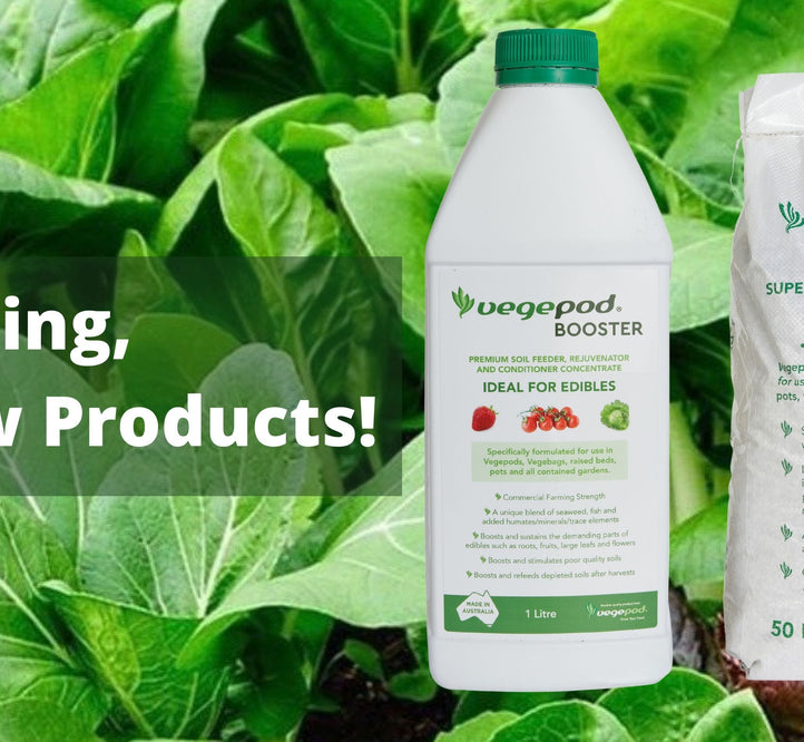 Introducing Vegepod’s Two New Products!