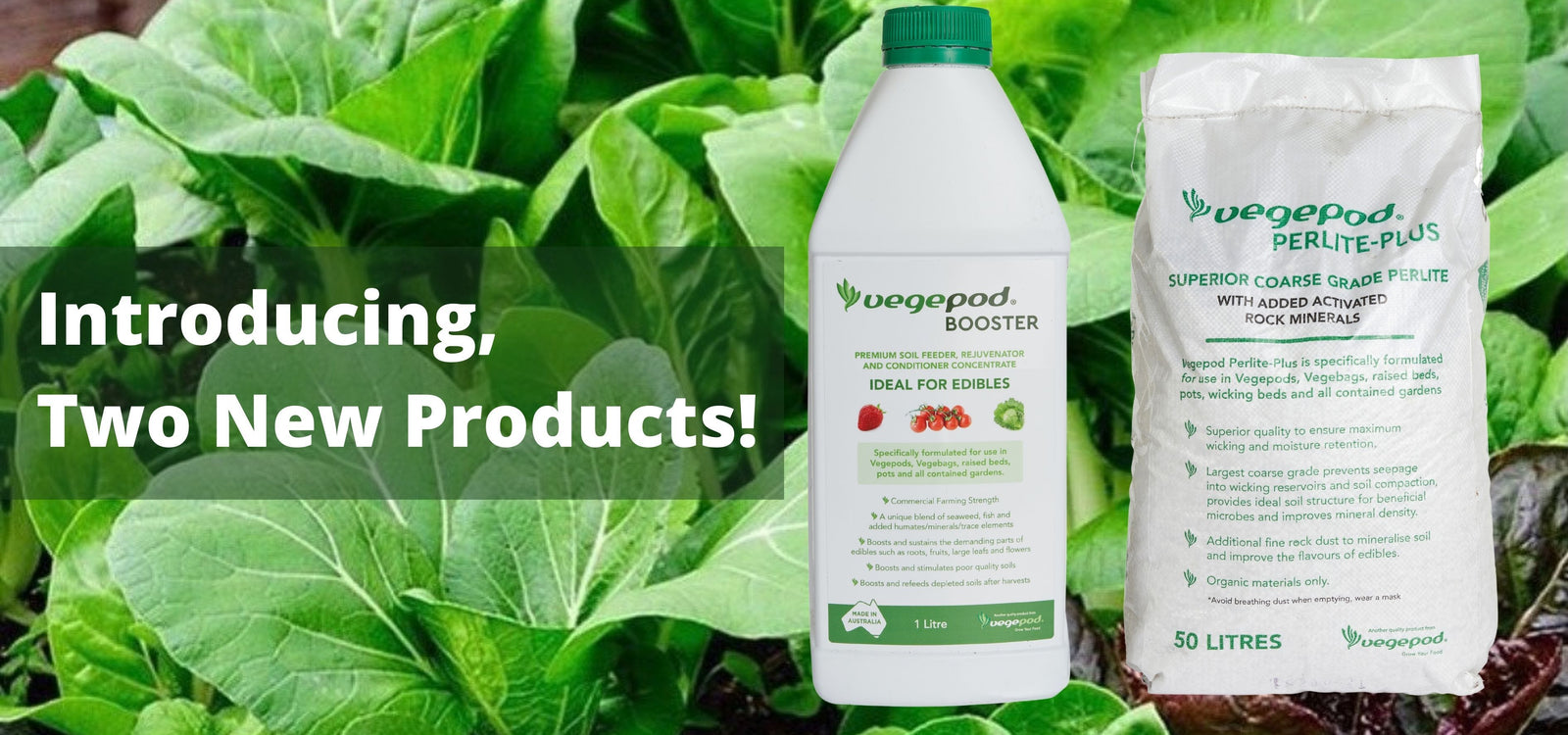 Introducing Vegepod’s Two New Products!