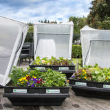 Medium Raised Garden Bed with Cover 1m x 1m Raised Garden Bed Vegepod 