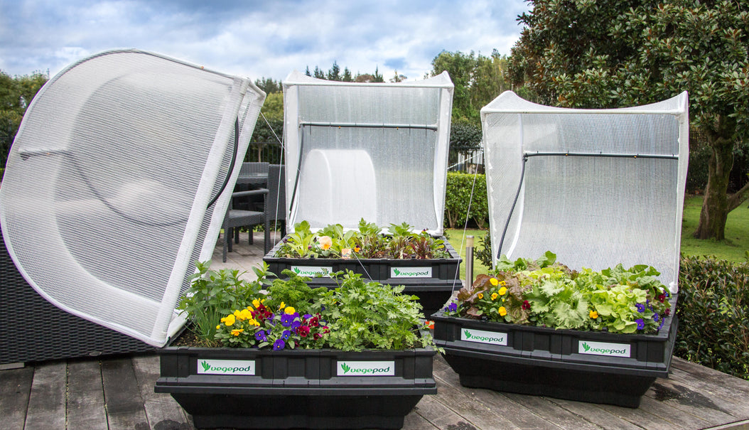 Vegepod Raised Garden Beds