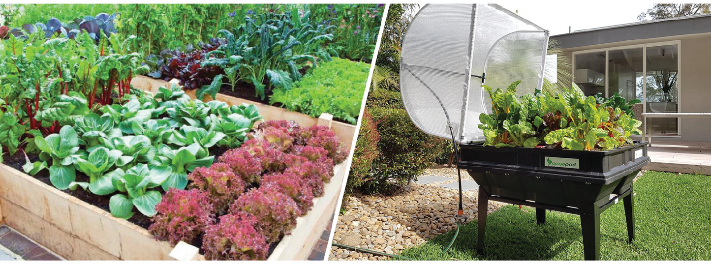 Vegetable Planters - Planting Your Vegepod for the First Time