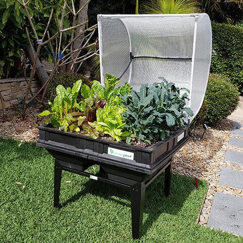 Medium Stand Stands Vegepod 