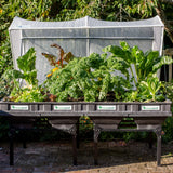 Large Stand Stands Vegepod 