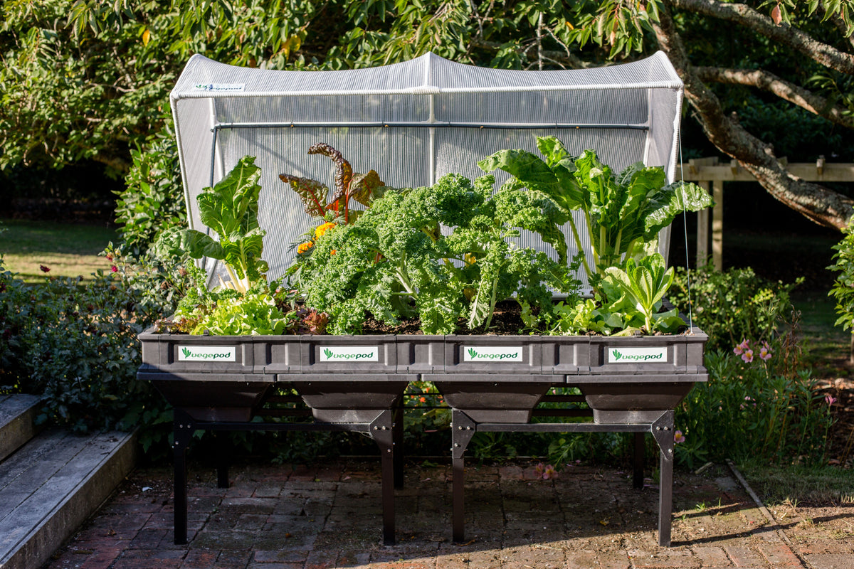 Large Stand Stands Vegepod 