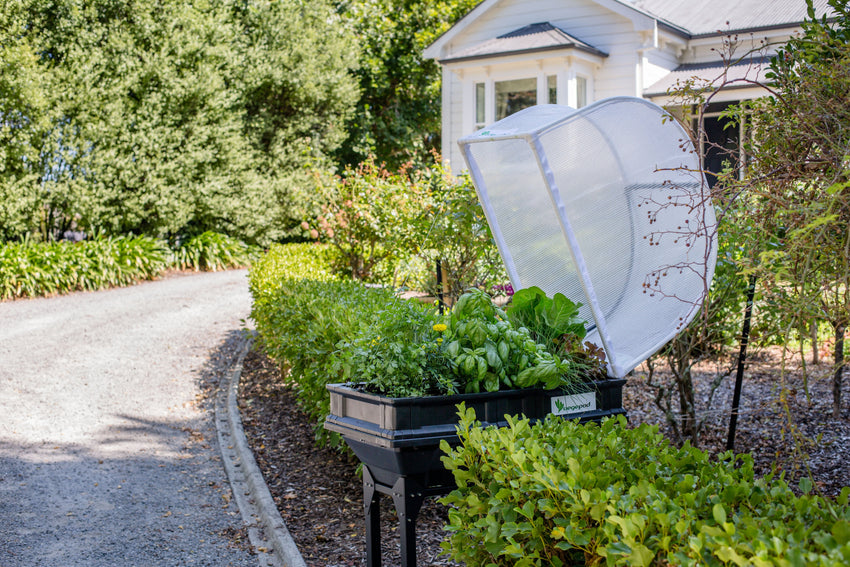 Small Trolley Stand Stands Vegepod 