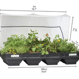 Large Raised Garden Bed with Cover 2m x 1m Raised Garden Bed Vegepod 