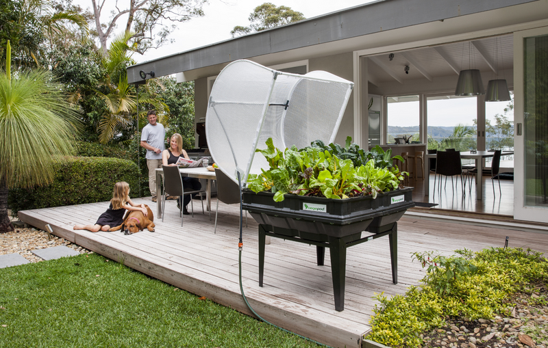 a person and a dog standing next to a planter Container Gardening