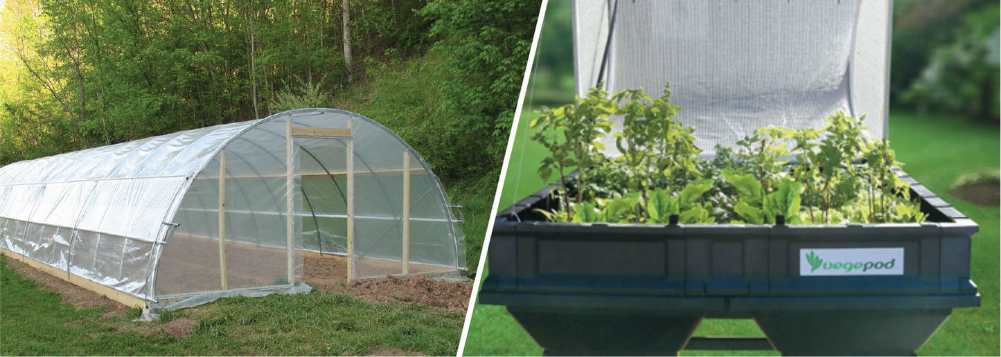 Vegepods vs Polytunnels