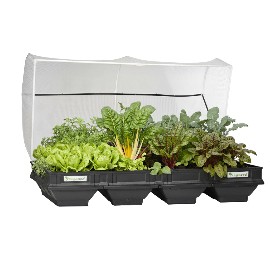 Large Raised Garden Bed with Cover 2m x 1m