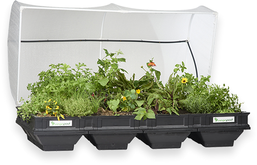 Large Raised Garden Bed