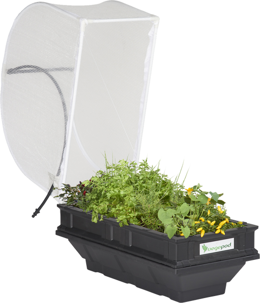 Small Raised Garden Bed