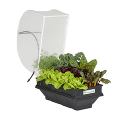Small Raised Garden Bed with Cover 1m x 0.5m