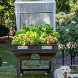 Medium Starter Pack with Trolley Vegepod Starter Packs Vegepod NZ 