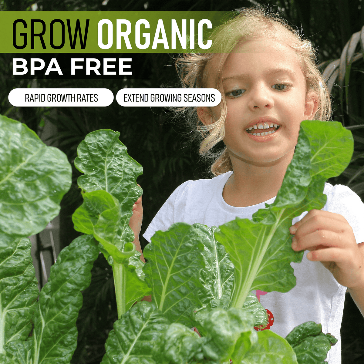 Small Starter Pack with Stand Vegepod Starter Packs Vegepod NZ 