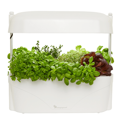 self watering herb planter nz Kitchen Garden Black | Indoor Herb & Vegetable Planter