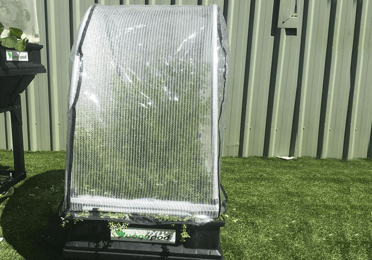 Small Hothouse Cover (PVC Cover Only)