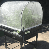 Medium Hothouse Cover (PVC Cover Only)