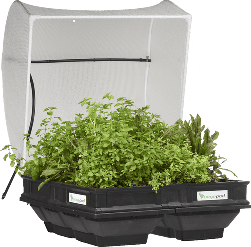 Medium Raised Garden Bed with Cover 1m x 1m