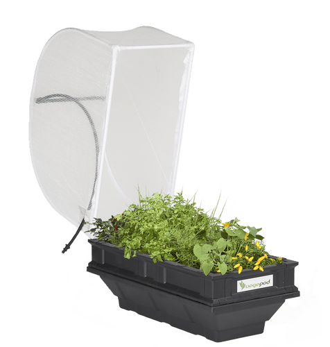 Small Raised Garden Bed with Cover 1m x 0.5m