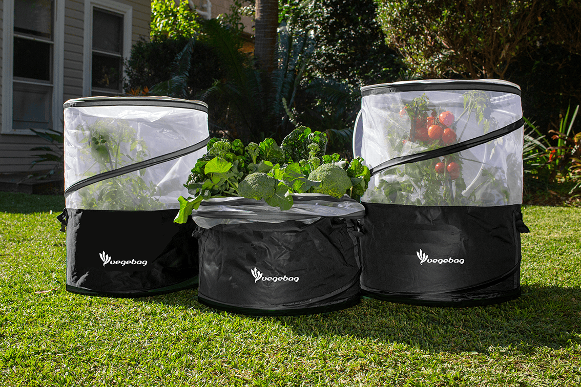 Vegebag - Relaunching soon! Vegepod NZ 